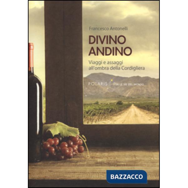 Divino andino. Viaggi e assaggi all'ombra della Cordigliera