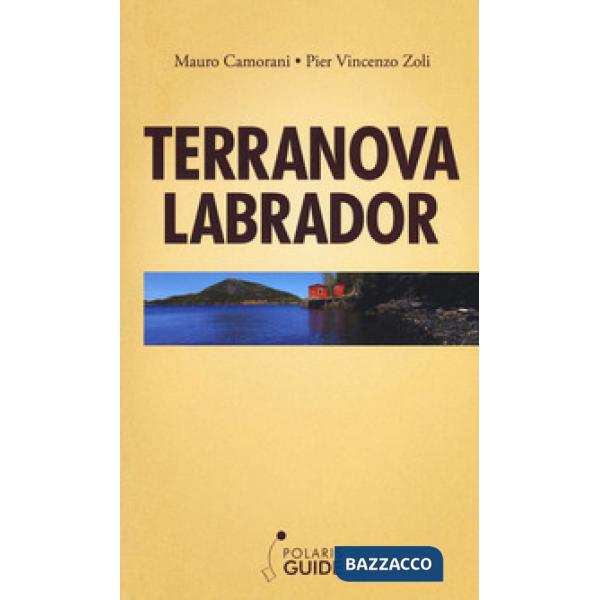 Terranova Labrador