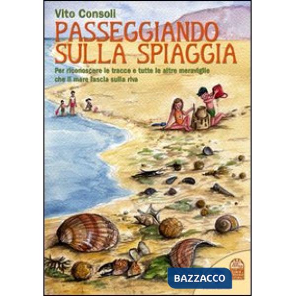 Passeggiando sulla spiaggia. Per riconoscere le tracce e tutte le altre meraviglie che il mare lascia sulla riva. Ediz. illustra