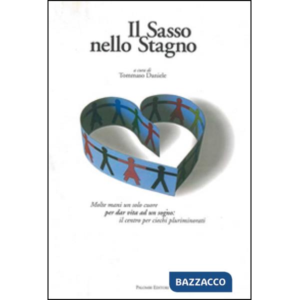 Sasso nello stagno (Il)