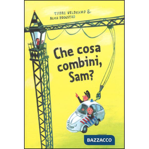 Che cosa combini, Sam? Ediz. illustrata