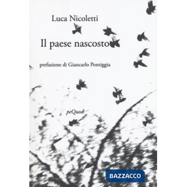 Paese nascosto (Il)