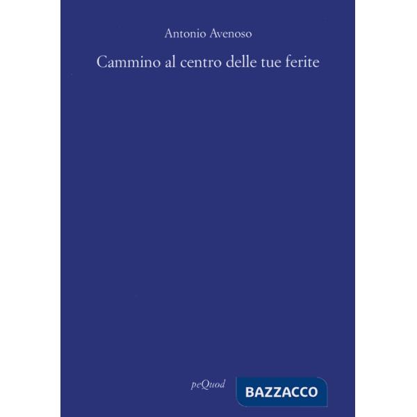 Cammino al centro delle tue ferite