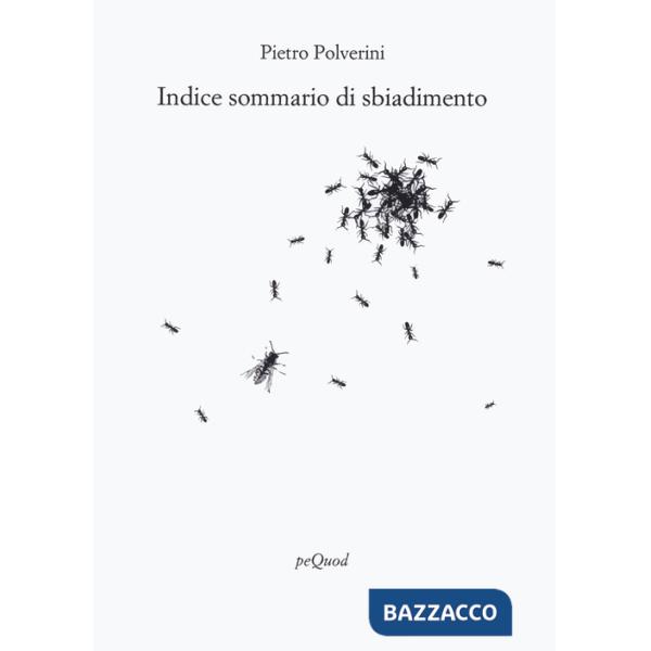 Indice sommario di sbiadimento