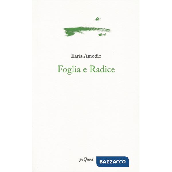Foglia e radice