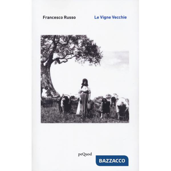 Vigne vecchie (Le)