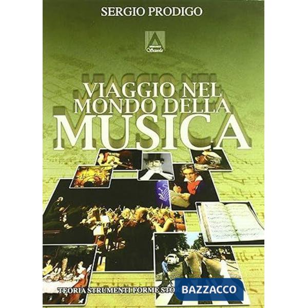 Viaggio nel mondo della musica. Teoria, strumenti, forme, storia e discipline