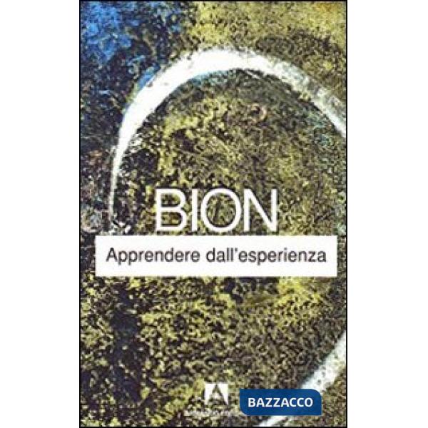 Apprendere dall'esperienza
