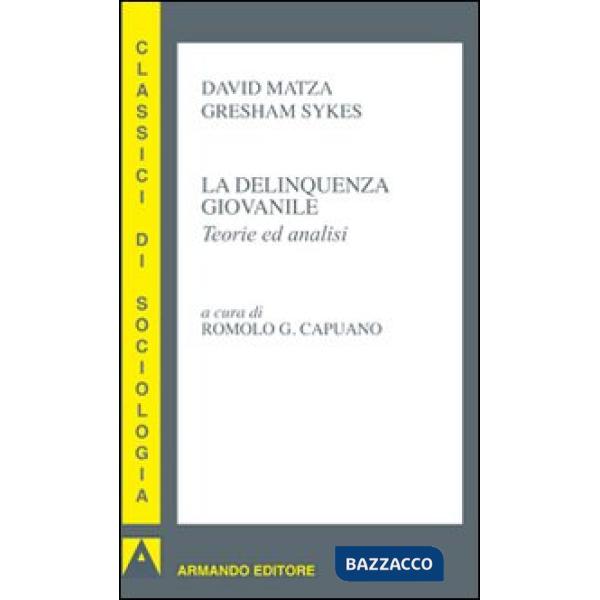 Delinquenza giovanile. Teorie ed analisi (La)