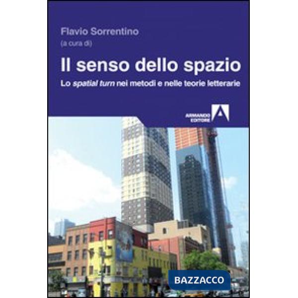 Senso dello spazio. Lo spatial turn nei metodi e nelle teorie letterarie (Il)
