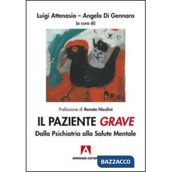 Paziente grave. Dalla psichiatria alla salute mentale (Il)