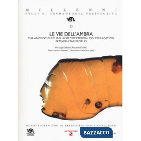 Vie dell'ambra. The ancient cultural and commercial communication between the pe