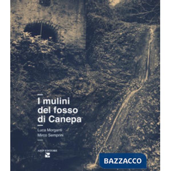 Mulini del fosso di Canepa. Ediz. illustrata (I)