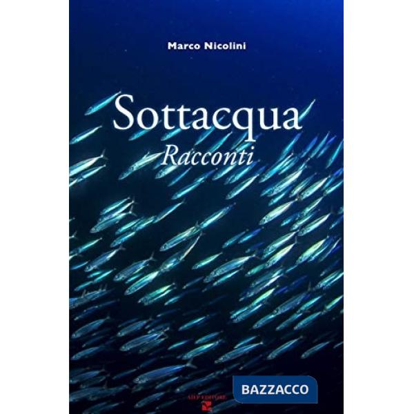 Sottacqua