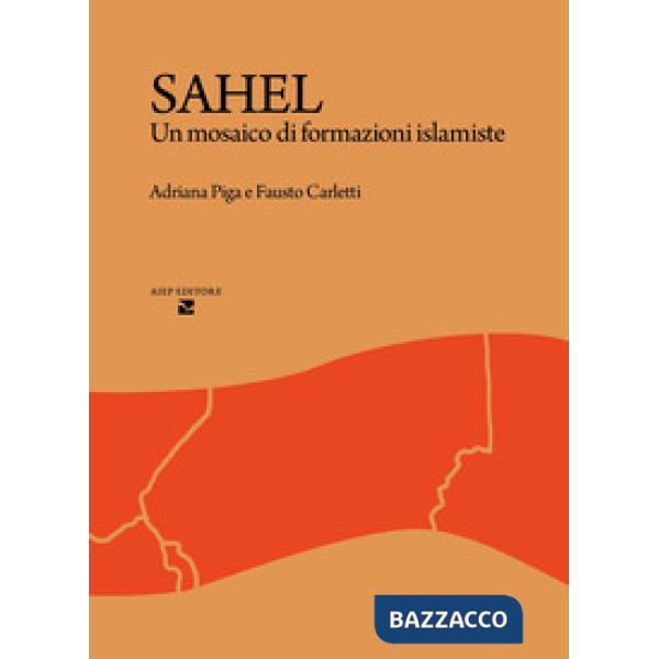 Sahel. Un mosaico di formazioni islamiste