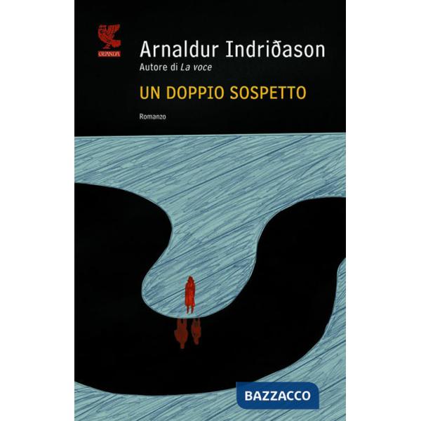 Doppio sospetto. I casi dell'ispettore Erlendur Sveinsson (Un). Vol. 7