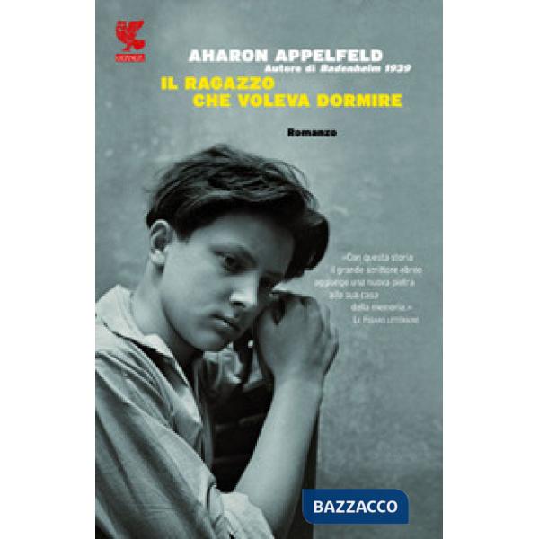 Ragazzo che voleva dormire (Il)