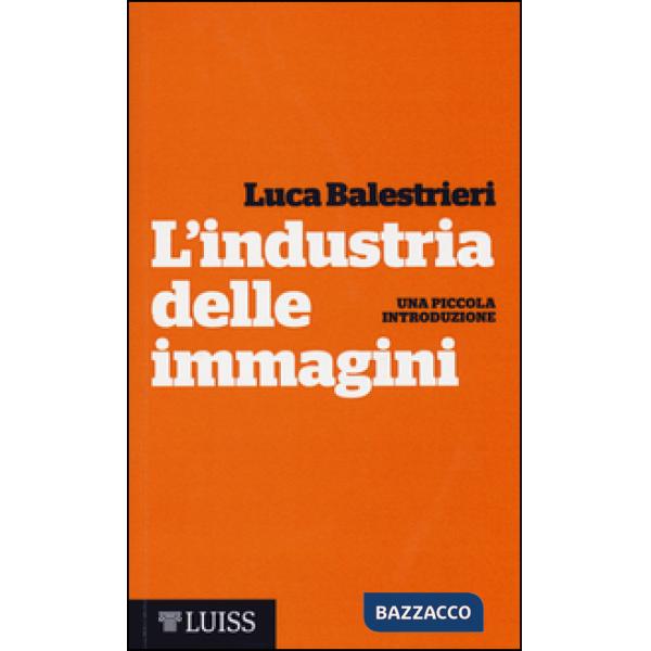 Industria delle immagini. Una piccola introduzione (L')