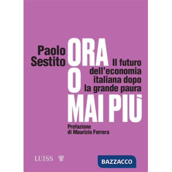 Ora o mai più. Il futuro dell'economia italiana dopo la grande paura