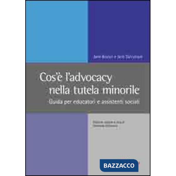 Cos'è l'advocacy nella tutela minorile. Guida per educatori e assistenti sociali