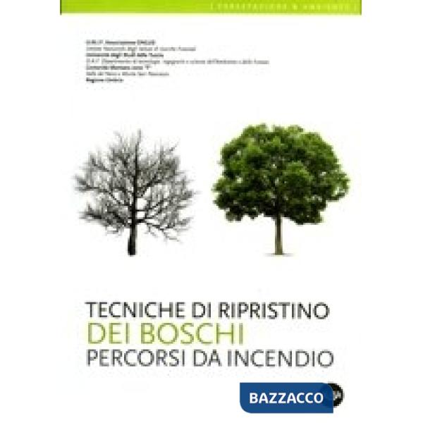 Tecniche di ripristino dei boschi percorsi da incendio