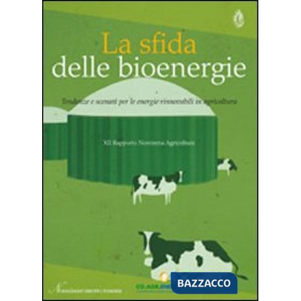 Sfida delle bioenergie. Tendenze e scenari per le energie rinnovabili in agricoltura. 12° Rapporto Nomisma agricoltura (La)