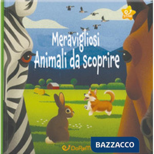 Mia casa. Apri & esplora. Ediz. a colori (La)
