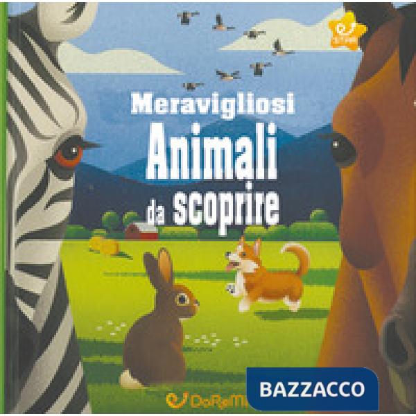 Meravigliosi animali da scoprire. Animal world. Ediz. a colori