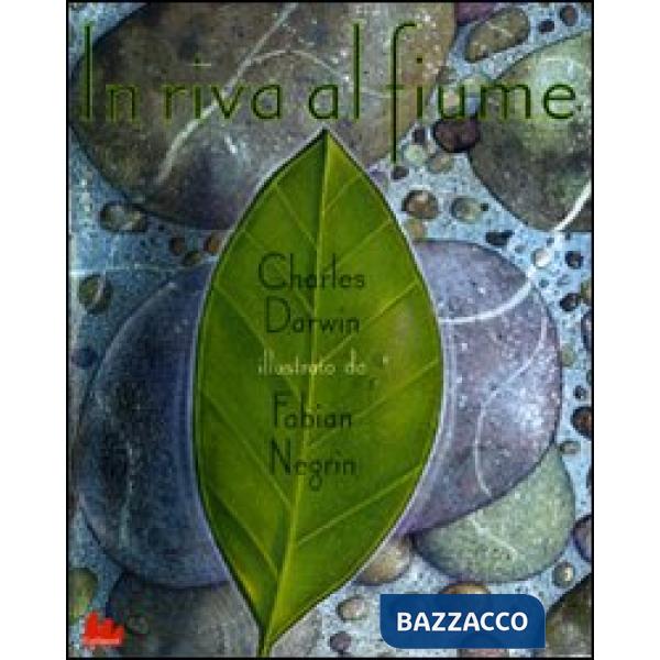 In riva al fiume. Ediz. illustrata