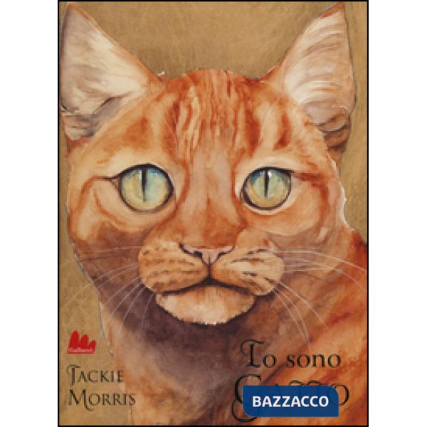 Io sono gatto. Ediz. illustrata