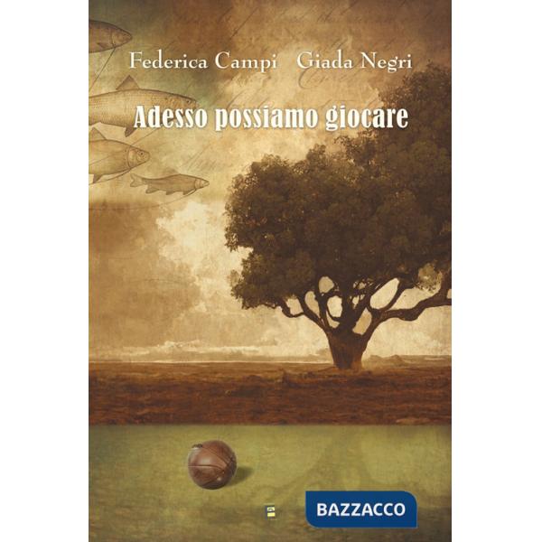 Adesso possiamo giocare. Ediz. illustrata