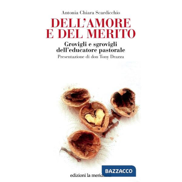 Dell'amore e del merito. Grovigli e sgrovigli dell'educatore pastorale