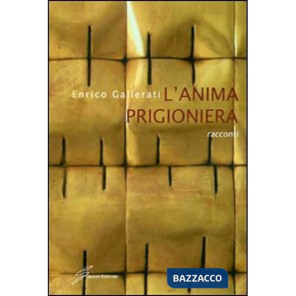 Anima prigioniera (L')