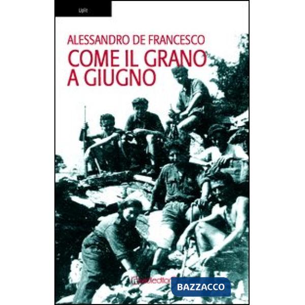 Come il grano a giugno