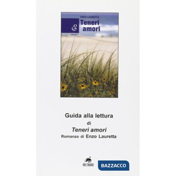 Guida alla lettura di «Teneri amori» romanzo di Enzo Lauretta