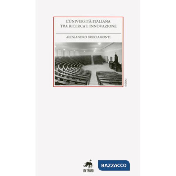 Università italiana tra ricerca e innovazione (L')