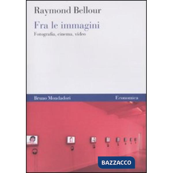 Fra le immagini. Fotografia, cinema, video