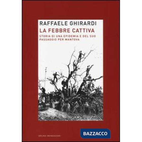 Febbre cattiva. Storia di un'epidemia e del suo passaggio per Mantova (La)