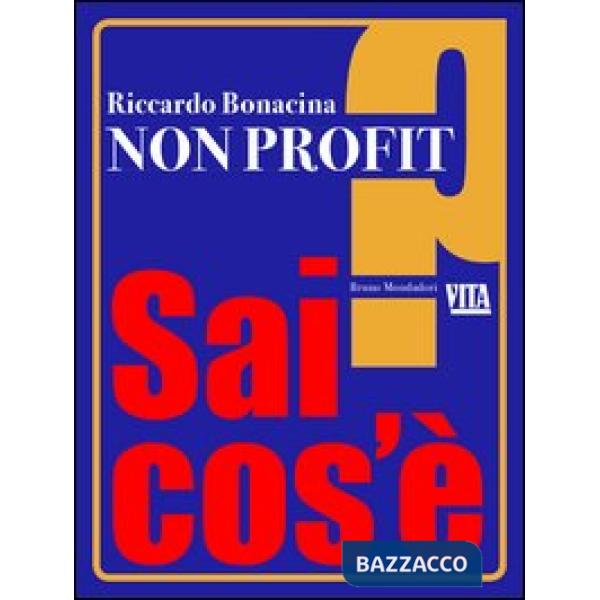 NON PROFIT EPUB (VENDITA ONLINE)