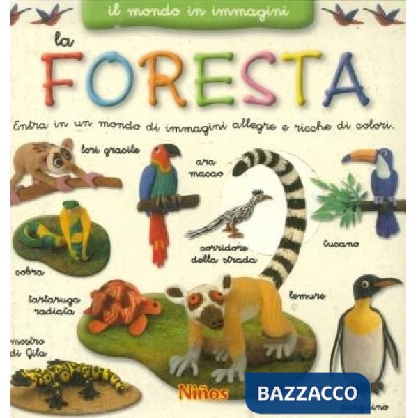 Mondo in immagini. Foresta