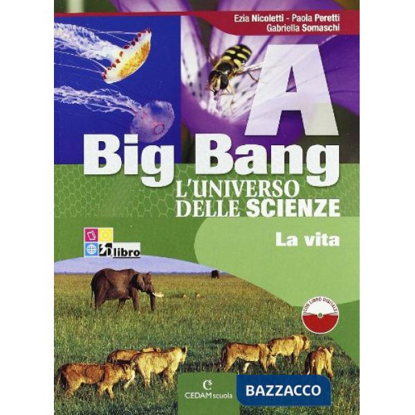BIG BANG A + B + C + D + LD