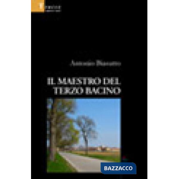 Maestro del terzo bacino (Il)