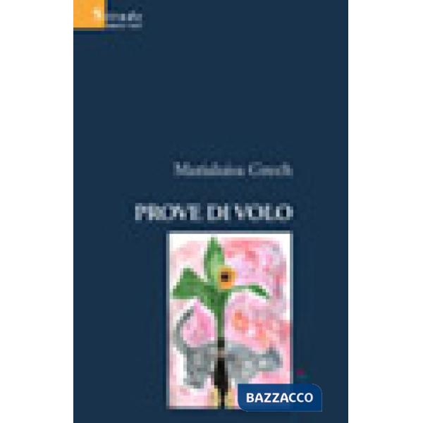 Prove di volo