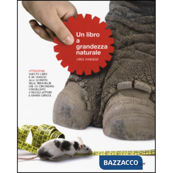 Libro a grandezza naturale. Ediz. illustrata (Un)