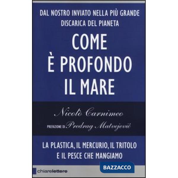 Come è profondo il mare. La plastica, il mercurio, il tritolo e il pesce che mangiamo