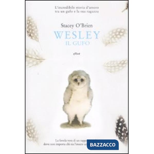 Wesley il gufo. L'incredibile storia d'amore tra un gufo e la sua ragazza