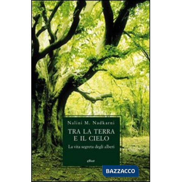 Tra la terra e il cielo. La vita segreta degli alberi