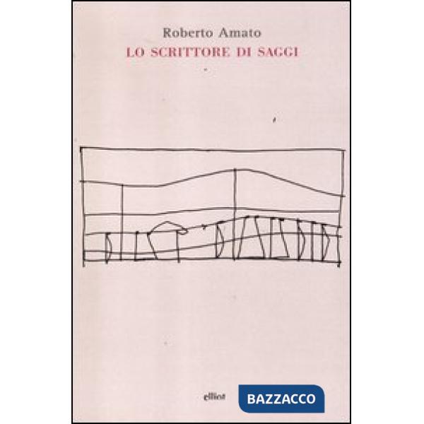 Scrittore di saggi (Lo)