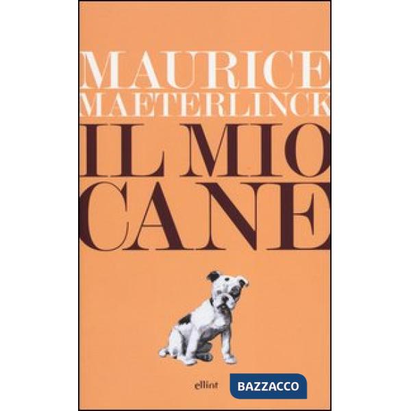 Mio cane (Il)