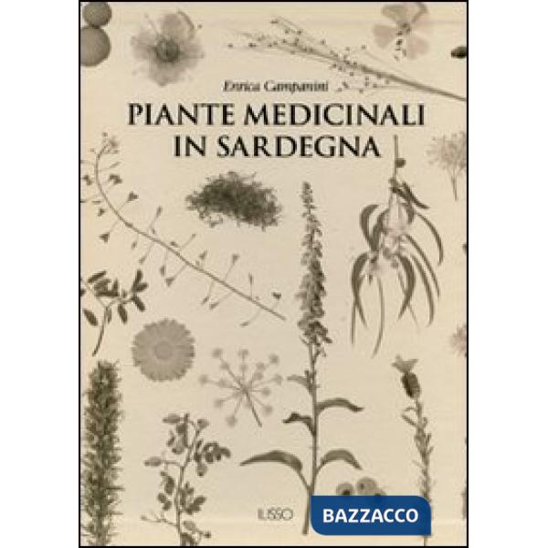 Piante medicinali in Sardegna. Ediz. illustrata